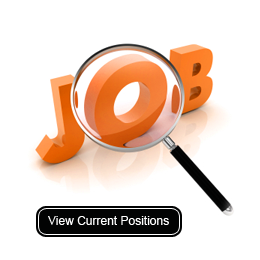 View Current Searchs